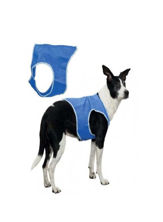 Trixie Cooling Vest for Dogs - Evaporative Cooling with Absorbent PVA, Adjustable Velcro, Reusable, Small 50 cm, Blue - Image 4
